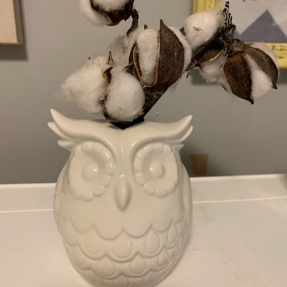Owl decor